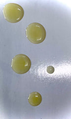 Glow Elixir Vitamin C Face Oil